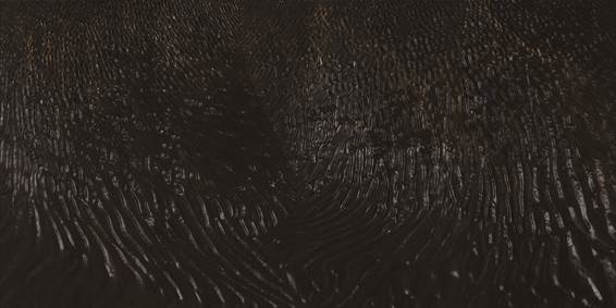 说明: MaQuan:综合材料展览作品:马记综合材料1号 木板浮雕 丙烯 Ma's Diary Synthetic material, No.1, Wooden board relief, Propylene, 480cm × 240cm, 2018.jpg 说明: MaQuan:综合材料展览作品:马记综合材料1号 木板浮雕 丙烯 Ma's Diary Synthetic material, No.1, Wooden board relief, Propylene, 480cm × 240cm, 2018.jpg