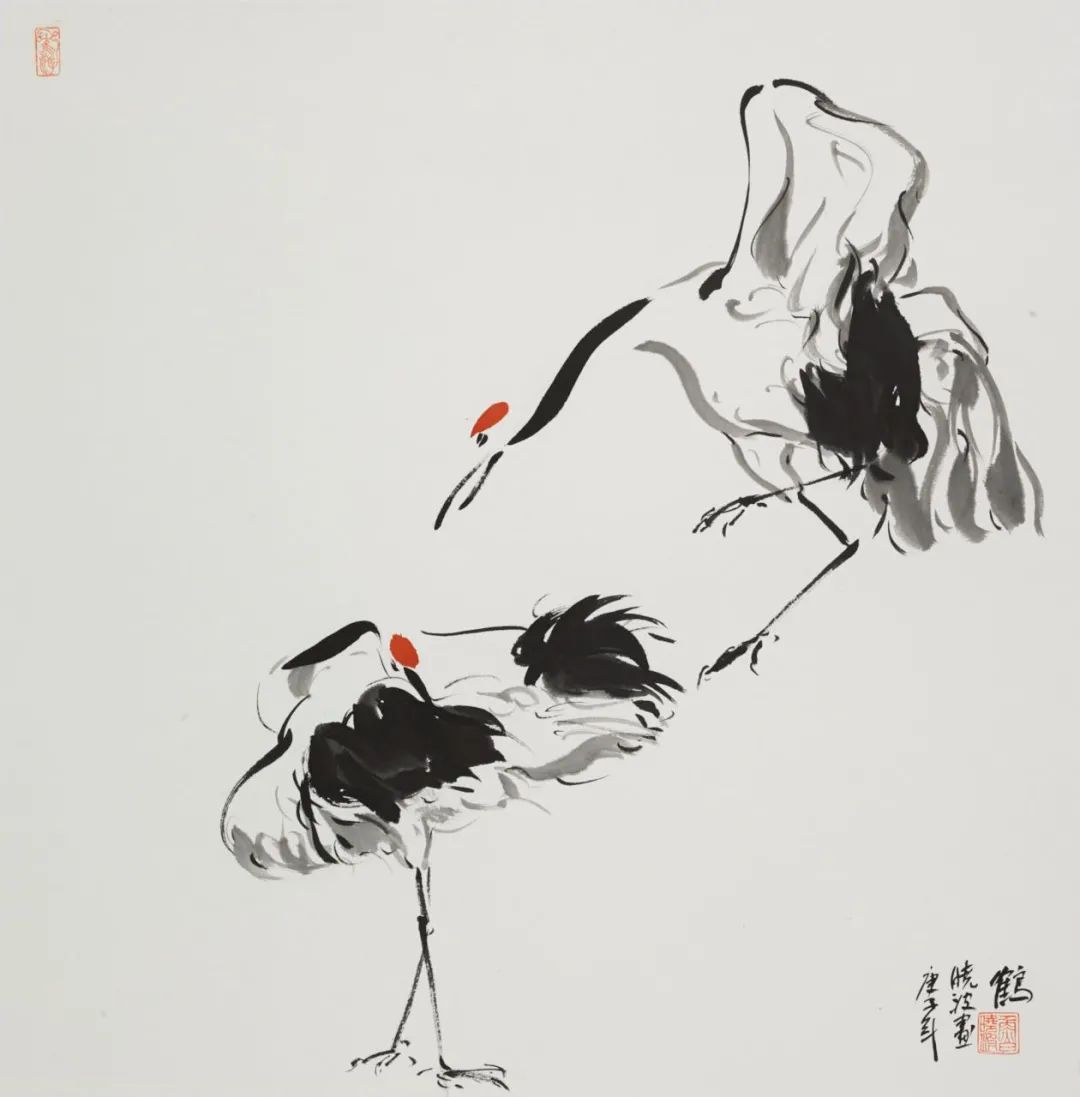 图片 图片